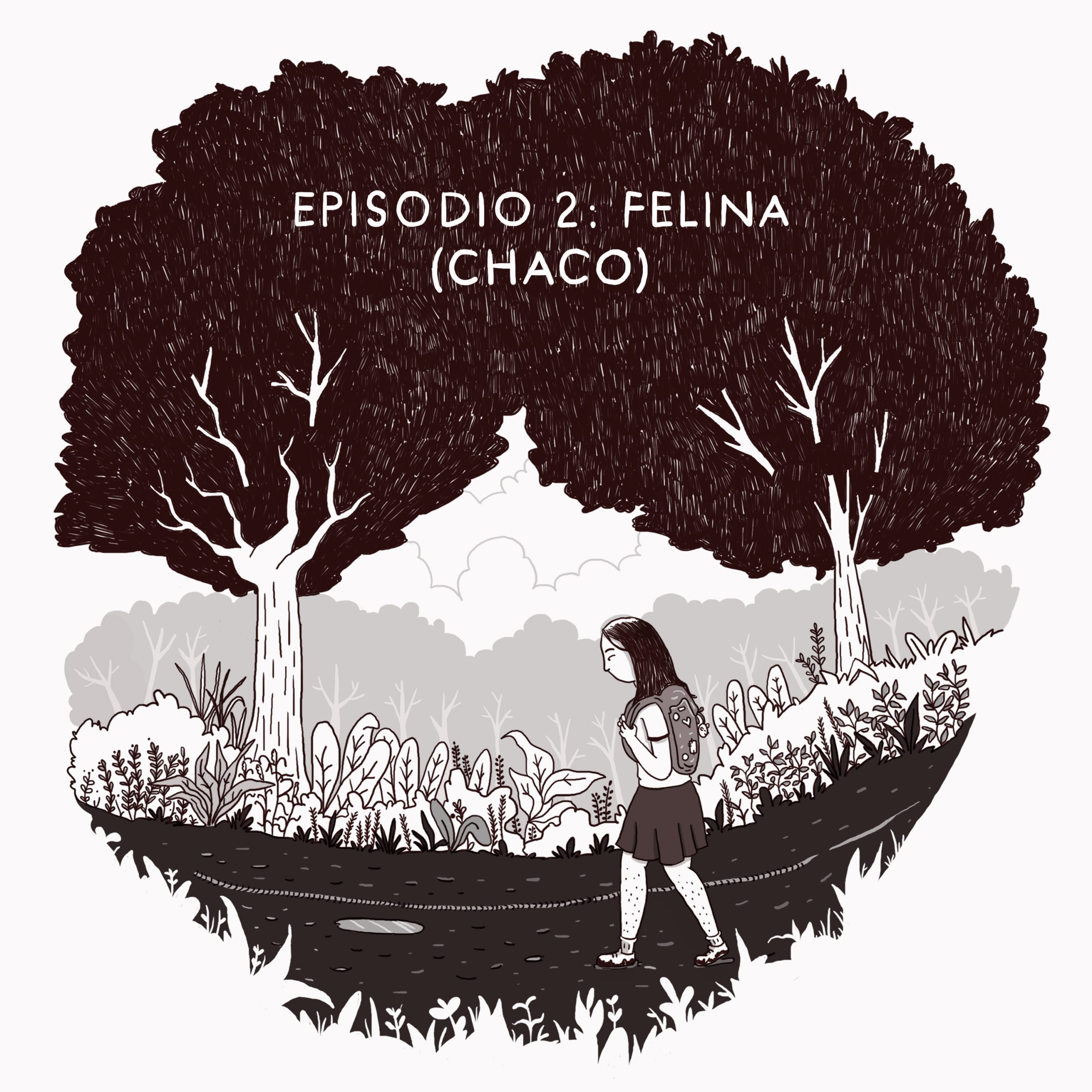 Episodio 2: Felina (Chaco) episode artwork
